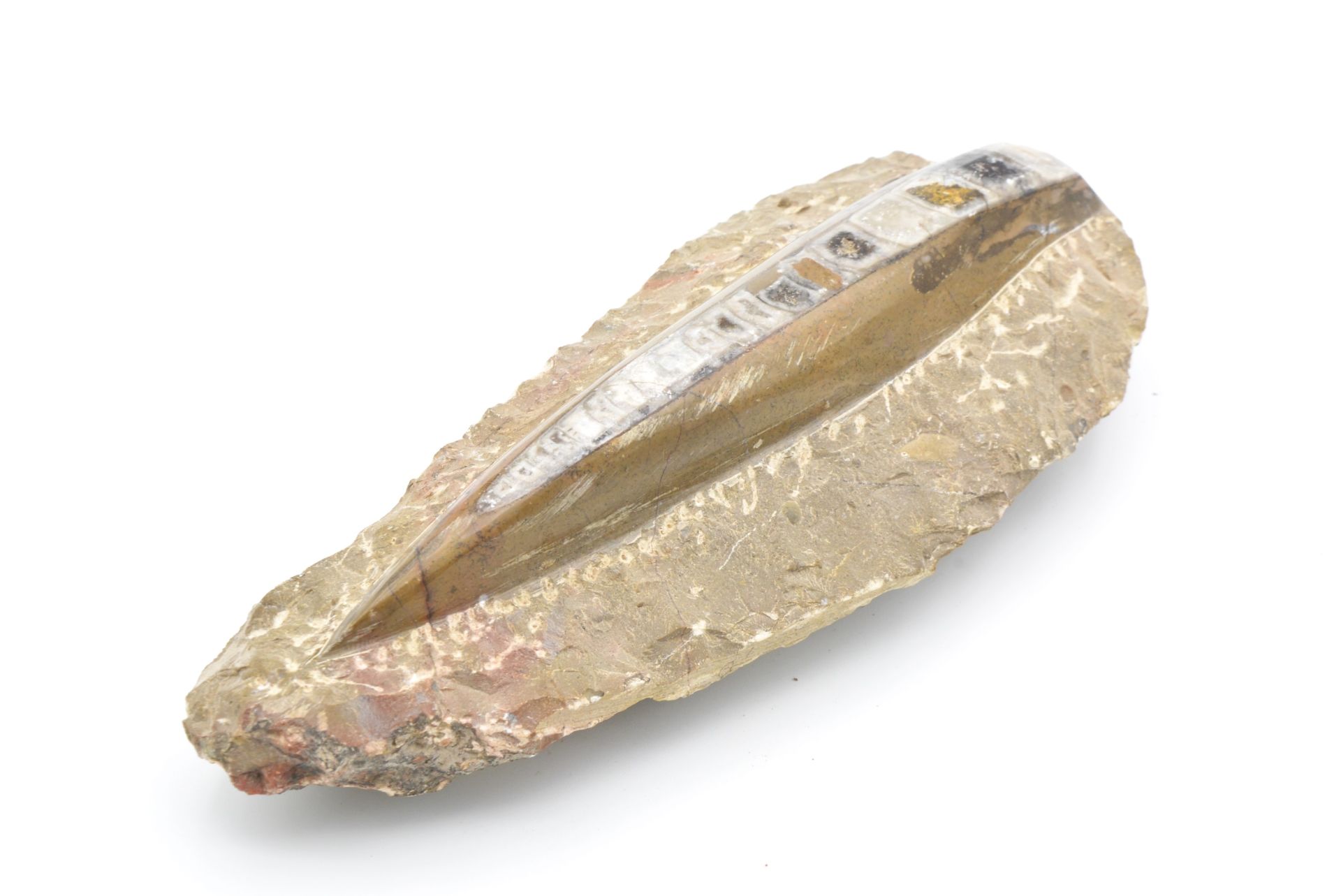 Hakiki Doğal Belemnit Fosili Kaya Parçası 648 Gram