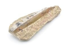 Hakiki Doğal Belemnit Fosili Kaya Parçası 648 Gram