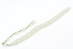 Sistemli Fosforlu Toz Kehribar Balık Tesbih