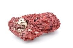 Hakiki Doğal Kırmızı Mercan Kaya Parçası 114 Gram