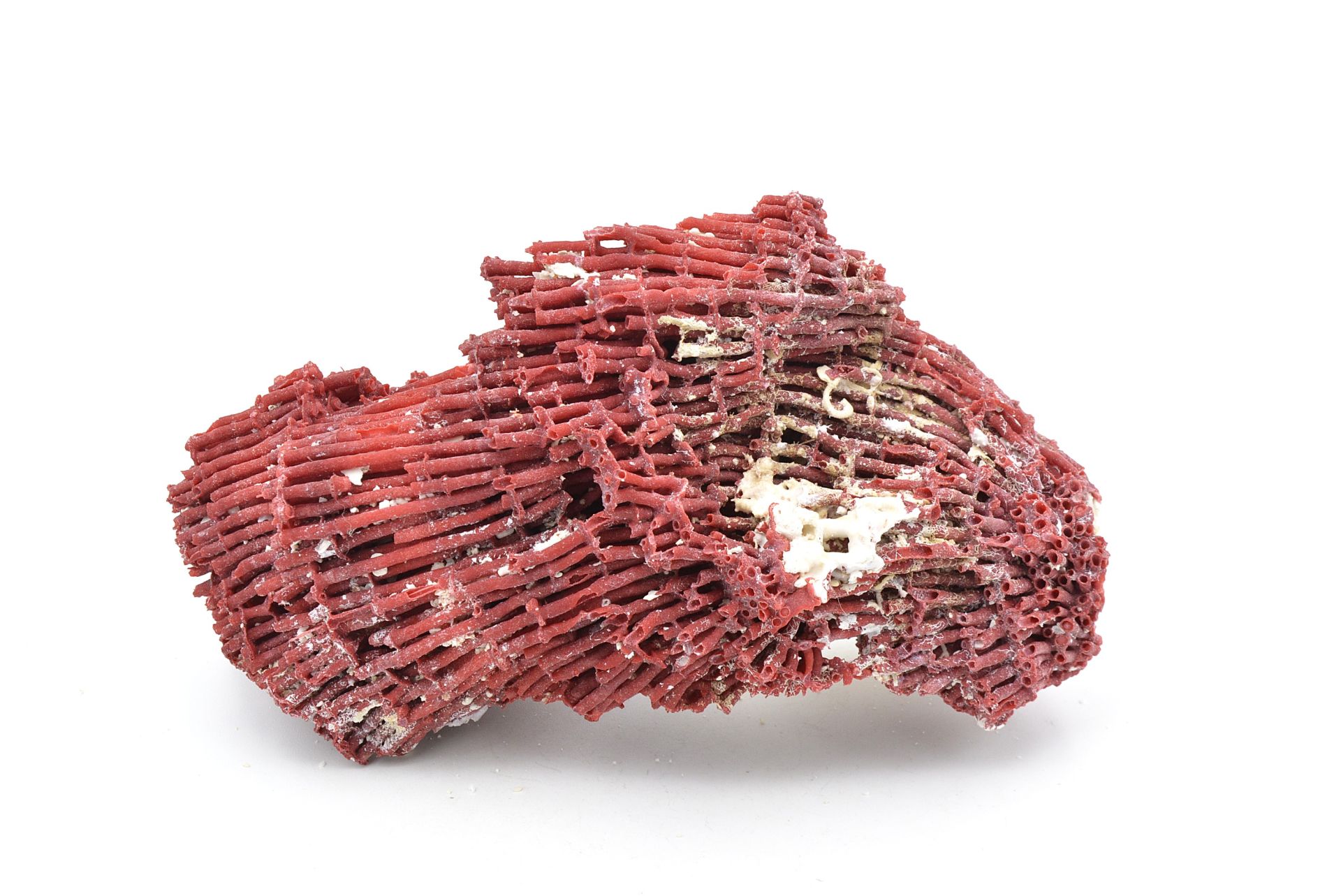 Hakiki Doğal Kırmızı Mercan Kaya Parçası 114 Gram