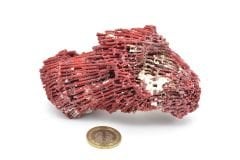 Hakiki Doğal Kırmızı Mercan Kaya Parçası 114 Gram