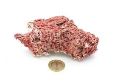 Hakiki Doğal Kırmızı Mercan Kaya Parçası 96 Gram